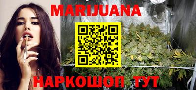 сатива Нальчик