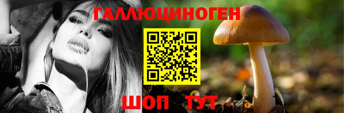 Симферополь  Псилоцибиновые грибы Psilocybe  Псилоцибиновые грибы MAGIC MUSHROOMS  Вход с VPN 